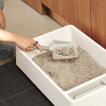 Why Tofu Cat Litter is the Best Choice for Your Feline Friend’s Health and Comfort